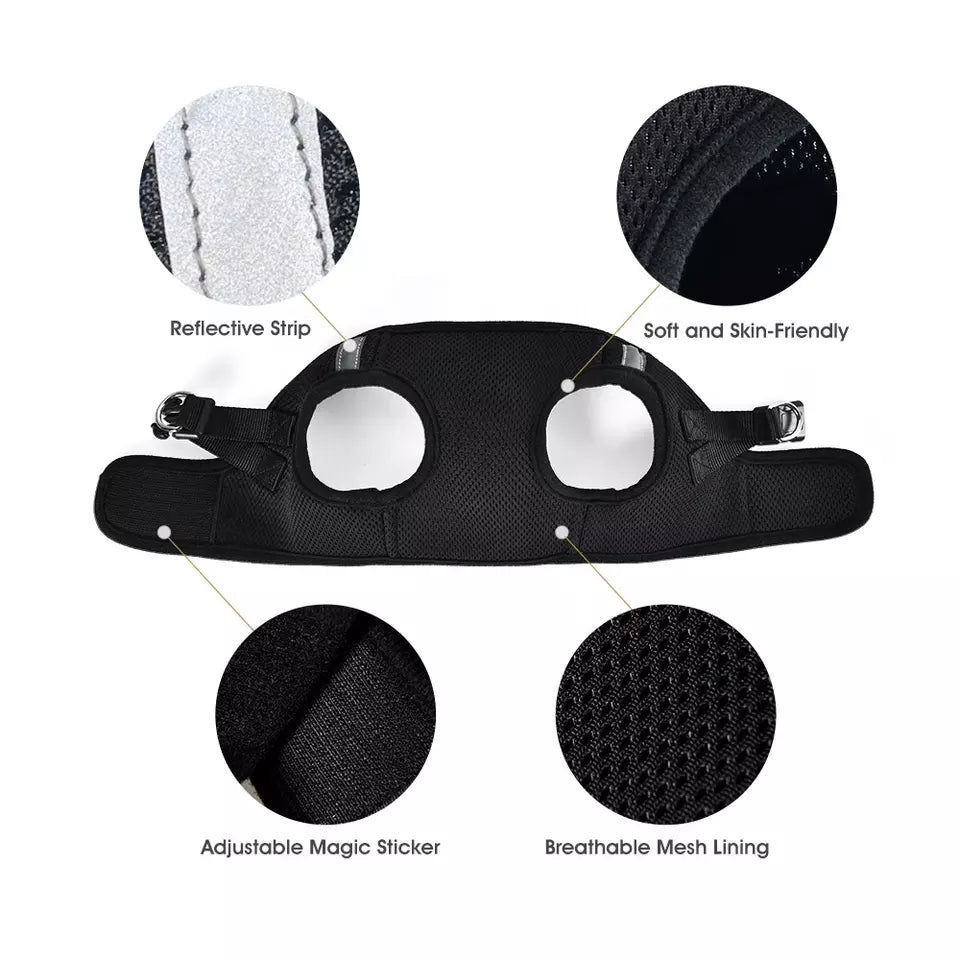 Breathable dog harness