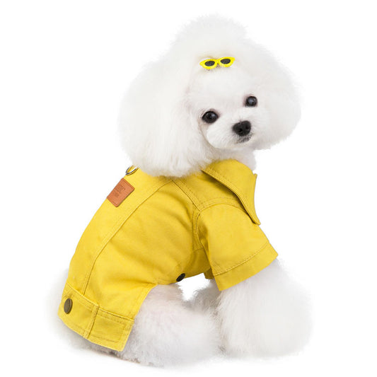 cute dog in yellow denim dog jacket 