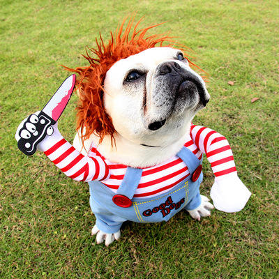 Dog Halloween Costume Chucky