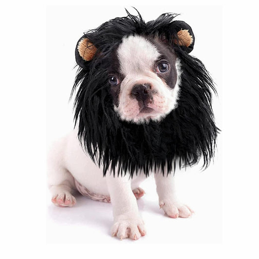 Dog Costume -  Halloween Costume - Lion Hair