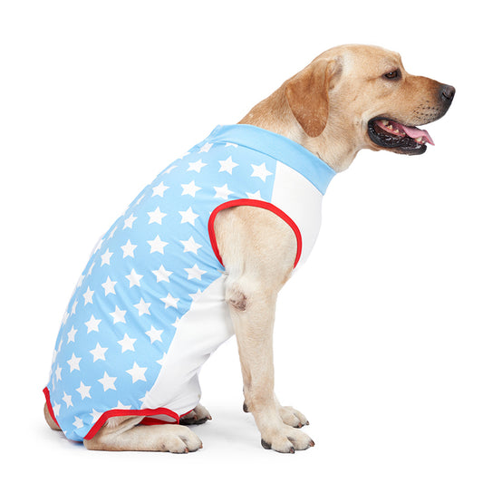 Cute Dog Recovery Suit